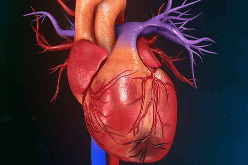 myocardial-ischemia-causes-diagnosis-symptoms-treatment