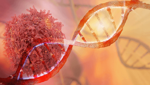 Lymphoma blood cancer