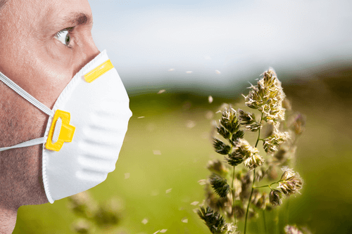 Seasonal allergies pollen