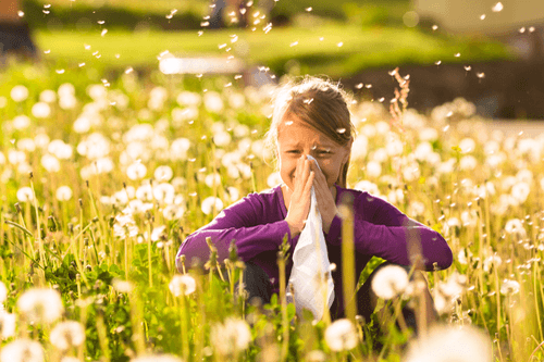 hay fever girl