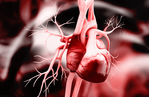 CARDIAC TAMPONADE heart anatomy