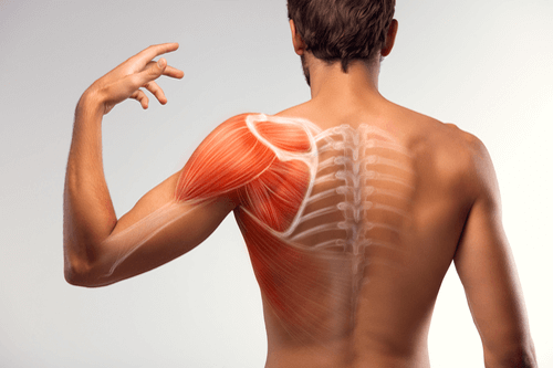 RHABDOMYOLYSIS muscle cramps