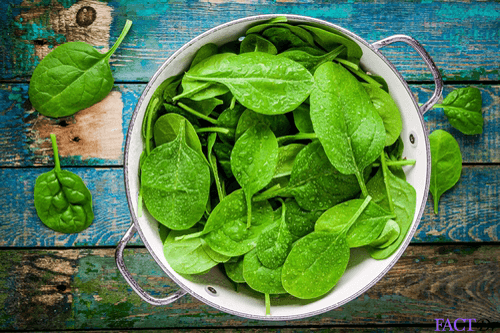 low carb foods spinach