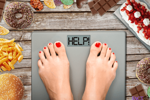 calorie counter weight loss