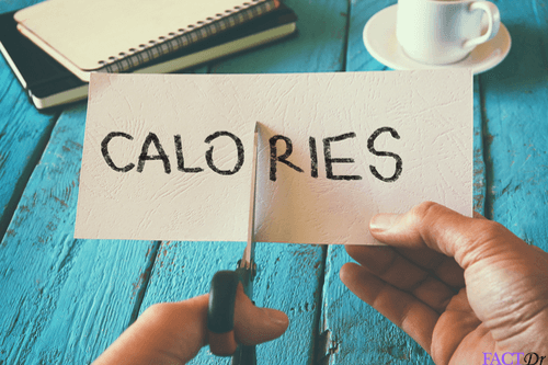 calorie counter