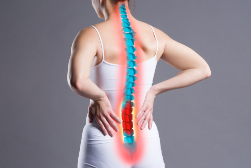 Chondroitin spine health