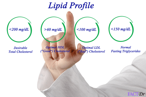 lipid-profile