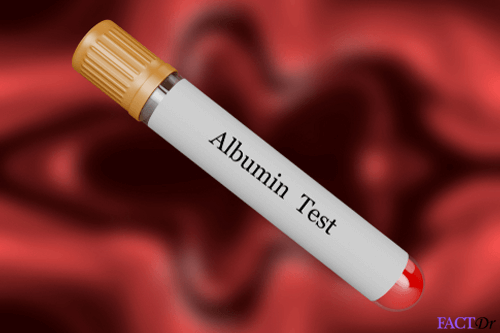 Bloodtestalbumin