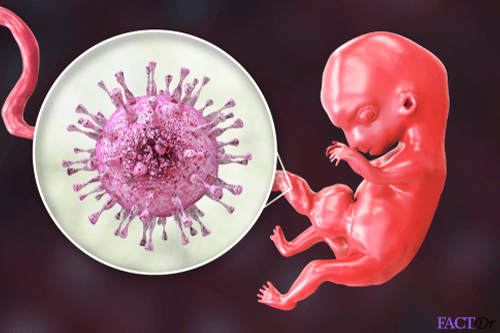 cytomegalovirus iGG