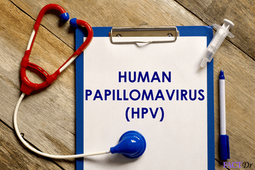 HPV diegene hybrid dna detection